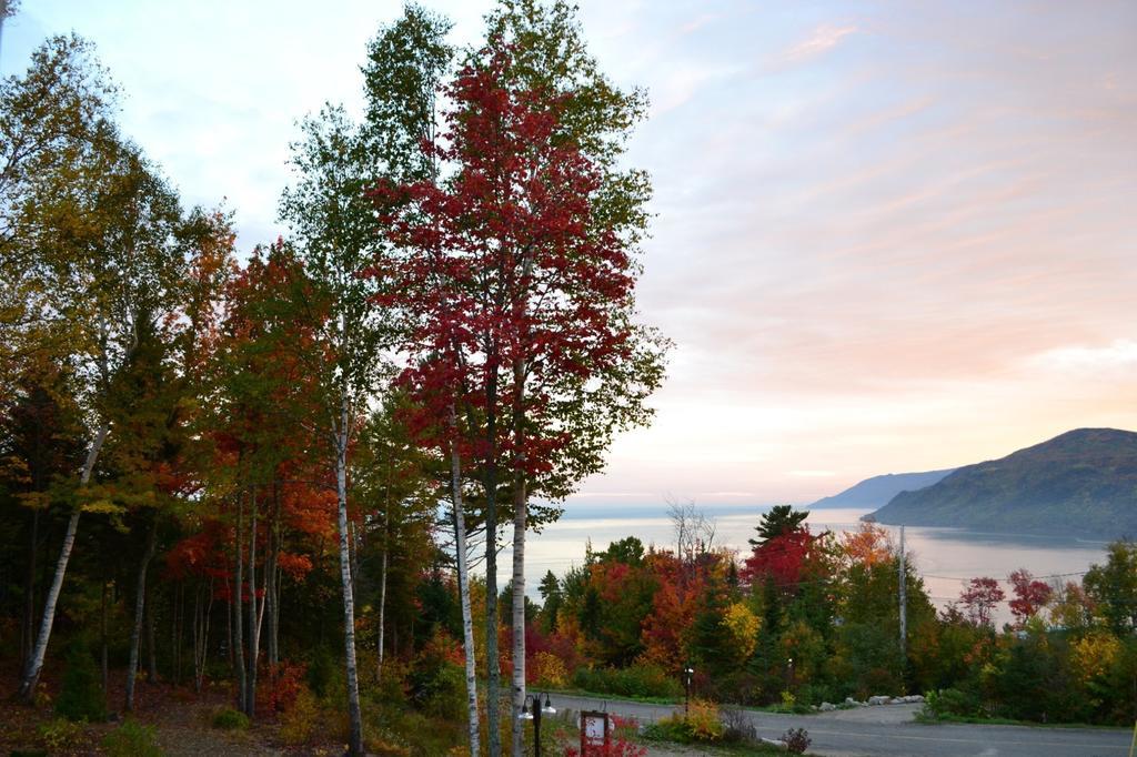 Gite Nature Et Pinceaux Baie-Saint-Paul Buitenkant foto